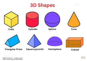 3d shapes