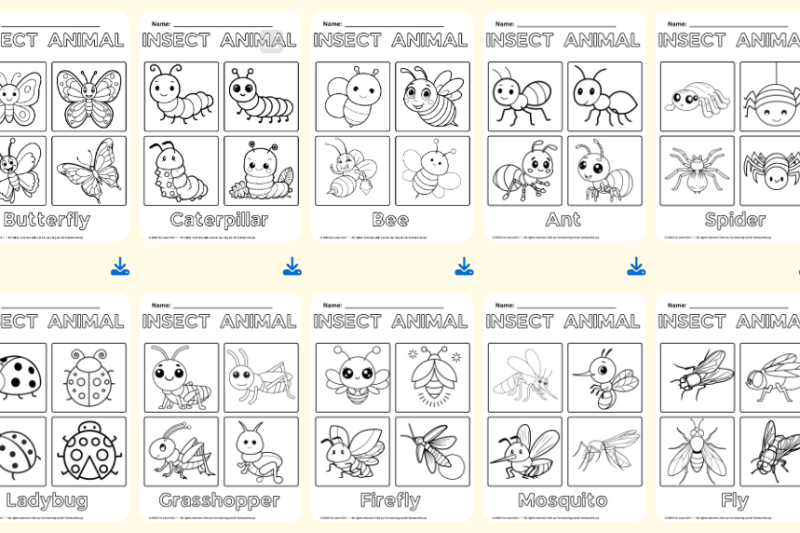 insects animal coloring worksheet thumb