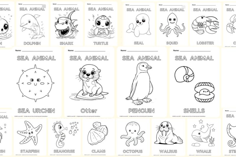 Sea animal coloring with name worksheet