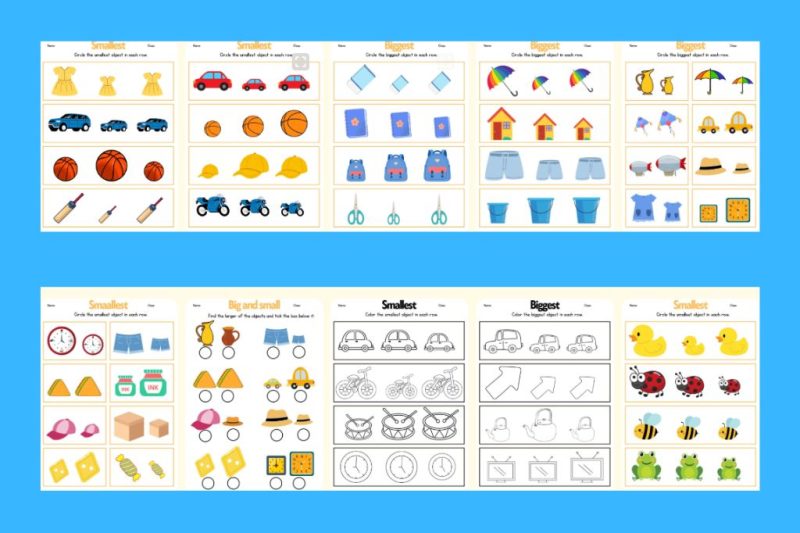 free-worksheet-smallest-and-biggest