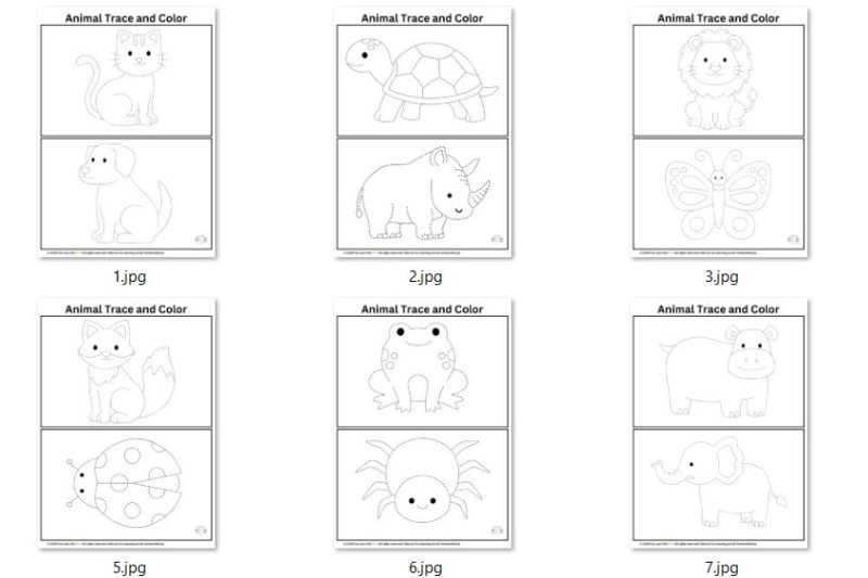Animal Trace and Color Worksheet – Learn to Trace and Color Animals for Kids