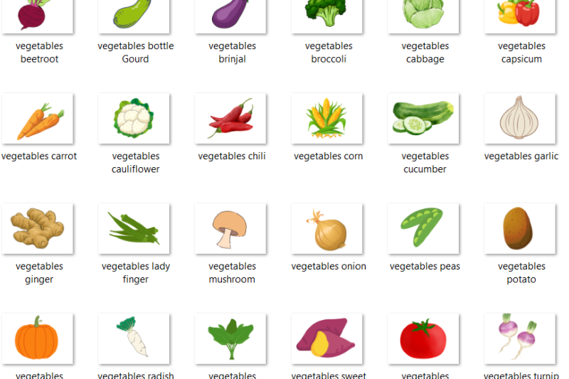 Learn vegetables names flashcards – Fun Interactive Learning