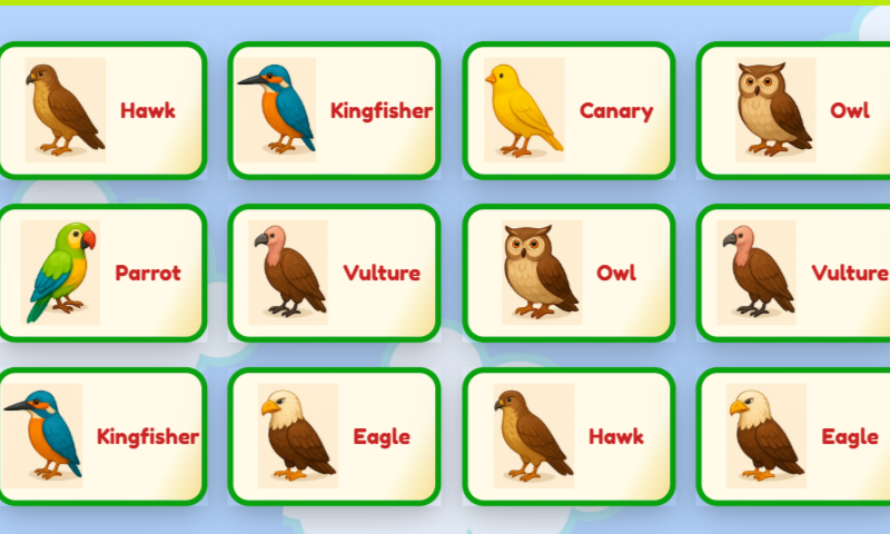 Game for Kids -Birds Names Memory Match Game